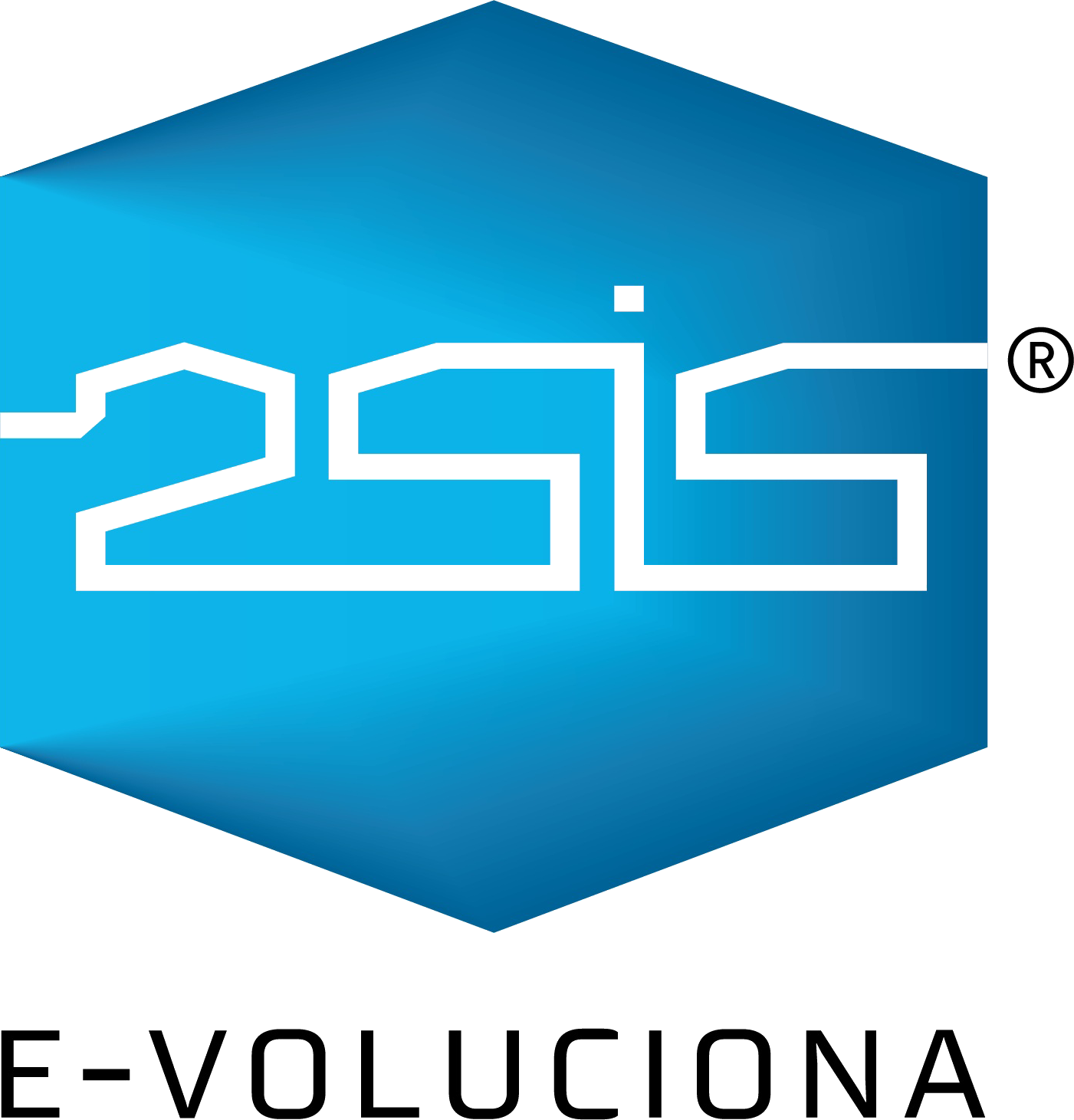 2sis-logo